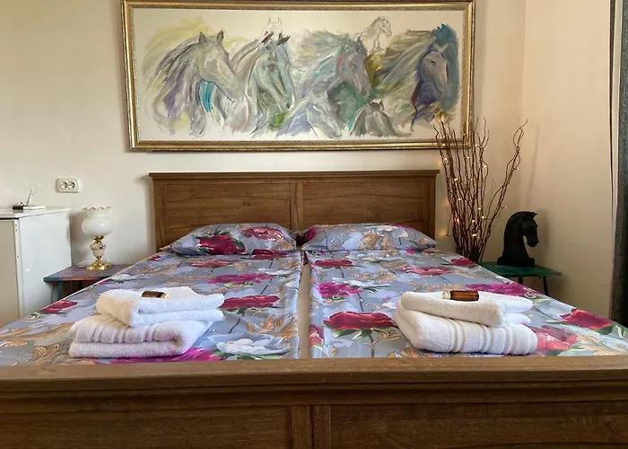 Maison d'hôtes Hei Taka Sozopol